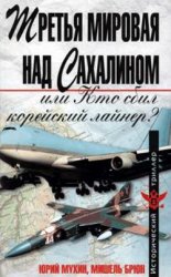 Третья мировая над Сахалином, или Кто сбил корейский лайнер?