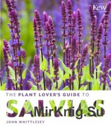 The Plant Lover's Guide to Salvias