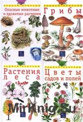 Атлас родной природы. Сборник (11 книг)