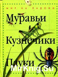 Муравьи. Кузнечики. Пауки