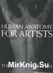 Human Anatomy for Artists: The Elements of Form