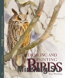 Drawing and Painting Birds