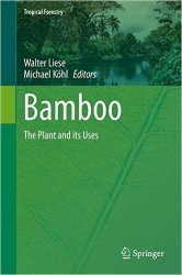 Bamboo: The Plant and its Uses