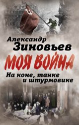 На коне, танке и штурмовике. Записки воина-философа