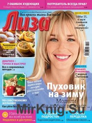 Лиза №45 2016