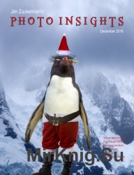 Photo Insights December 2016