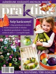 Praktika №12 2013