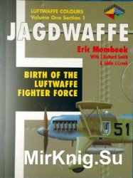 Jagdwaffe: Birth of the Luftwaffe Fighter Forсe (Luftwaffe Colours: Volume One Section 1)