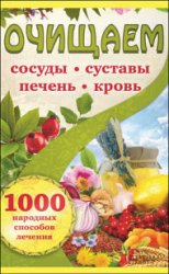 Очищаем сосуды, суставы, печень, кровь. 1000 народных способов лечения