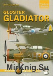 Gloster Gladiator (Mushroom Yellow Series 6104)