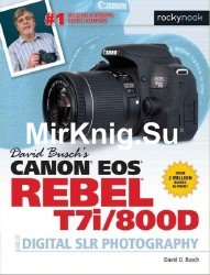 David Busch's Canon EOS Rebel T7i/800D Guide to Digital SLR Photography