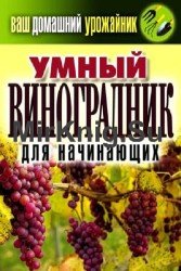 Ваш домашний урожайник. Умный виноградник для начинающих