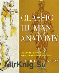 Classic Human Anatomy: The Artist's Guide to Form, Function, and Movement