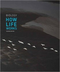 Biology: How Life Works, 2nd Edition