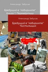 Бредущий в «лабиринте». Цикл из 2 книг