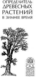 Определитель древесных растений в зимнее время