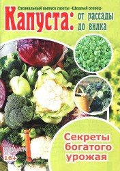 Щедрый огород - Капуста: от рассады до вилка 2018