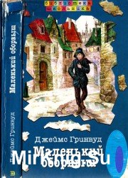 Маленький оборвыш (2003)