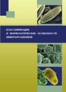 Классификация и морфологические особенности микроорганизмов 