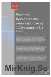 Практика бухгалтерского учета в программе 1С Бухгалтерия 8.1