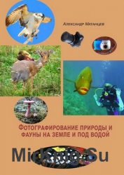 Фотографирование природы и фауны на земле и под водой
