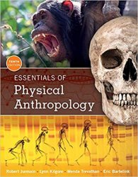 Essentials of Physical Anthropology, 10th Edition