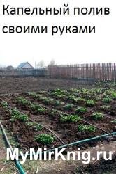 Капельный полив своими руками