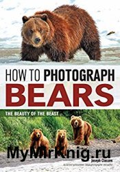 How to Photograph Bears: The Beauty of the Beast