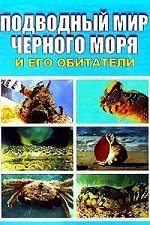 Подводный мир Черного моря