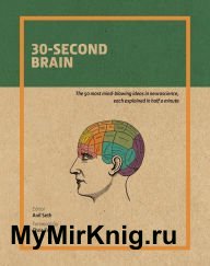 30-second brain