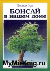 Бонсай в нашем доме