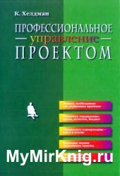 Профессиональное управление проектом