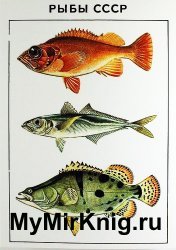 Рыбы СССР