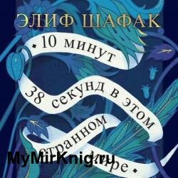 10 минут 38 секунд в этом странном мире (Аудиокнига)