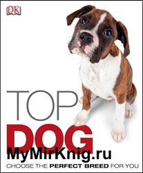 Top Dog: Choose the Perfect Breed for You