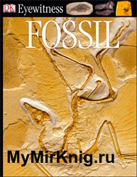 Fossil