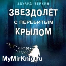 Звездолет с перебитым крылом (Аудиокнига)