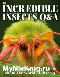 Incredible Insects Q & A