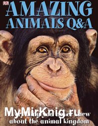 Amazing Animals Q & A