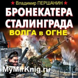 Бронекатера Сталинграда. Волга в огне (Аудиокнига)