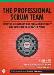 Professional Scrum Team