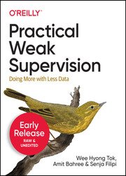 Practical Weak Supervision: Doing More with Less Data (Early Release)