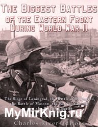 The Biggest Battles of the Eastern Front During World War II