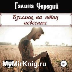 Взгляни на птиц небесных (Аудиокнига)