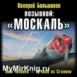 Позывной: «Москаль». Наш человек – лучший ас Сталина (Аудиокнига) Читает: Арсеньев