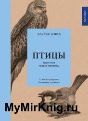 Птицы. Крылатые чудеса природы