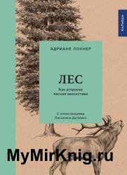 Лес. Как устроена лесная экосистема