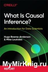 What Is Causal Inference?