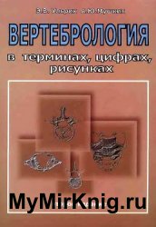 Вертебрология в терминах, цифрах, рисунках