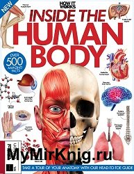 Inside the Human Body (How It Works 2021)